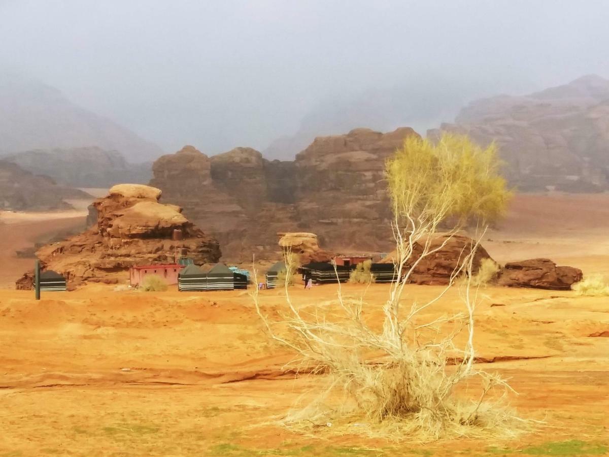 Bedouin Culture Camp Wadi Rum Buitenkant foto